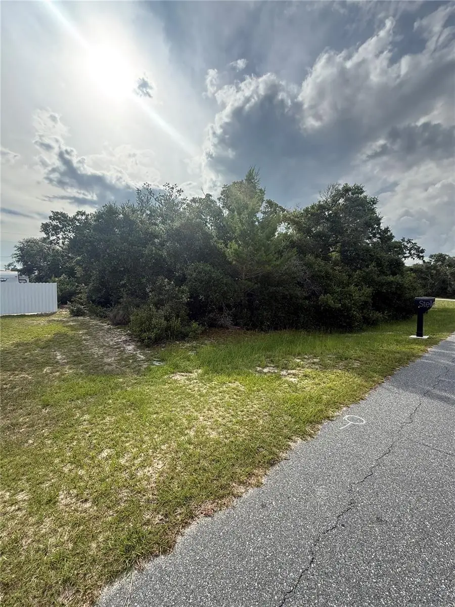 TBD SW 161st Loop, Ocala, FL 34473 - #2