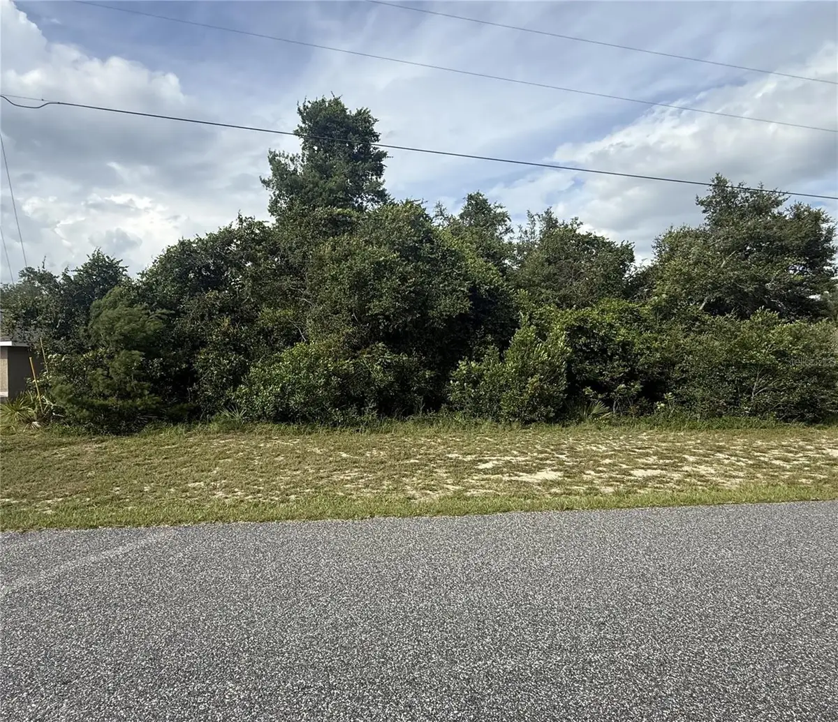 TBD SW 165th Street Road, Ocala, FL 34473 - #1