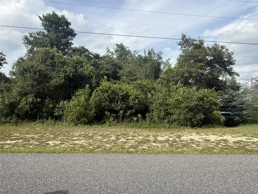 TBD SW 165th Street Road, Ocala, FL 34473 - #2
