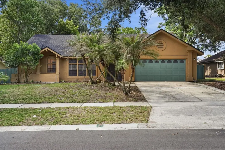 733 Swaying Palm Drive, Apopka, FL 32712 - #2
