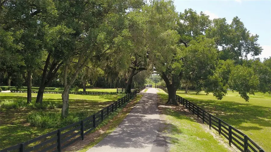 16945 W Phil C Peters Road, Winter Garden, FL 34787 - #3