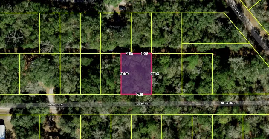 NE 112th Terrace, Fort McCoy, FL 32134 - #3