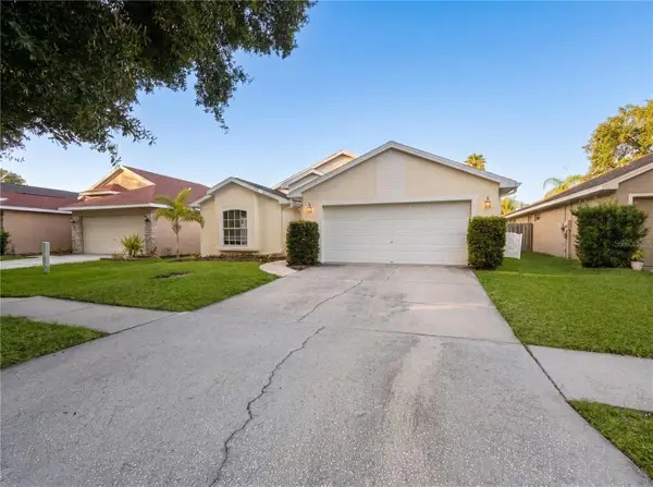 4532 Perdita Lane, LUTZ, FL 33558