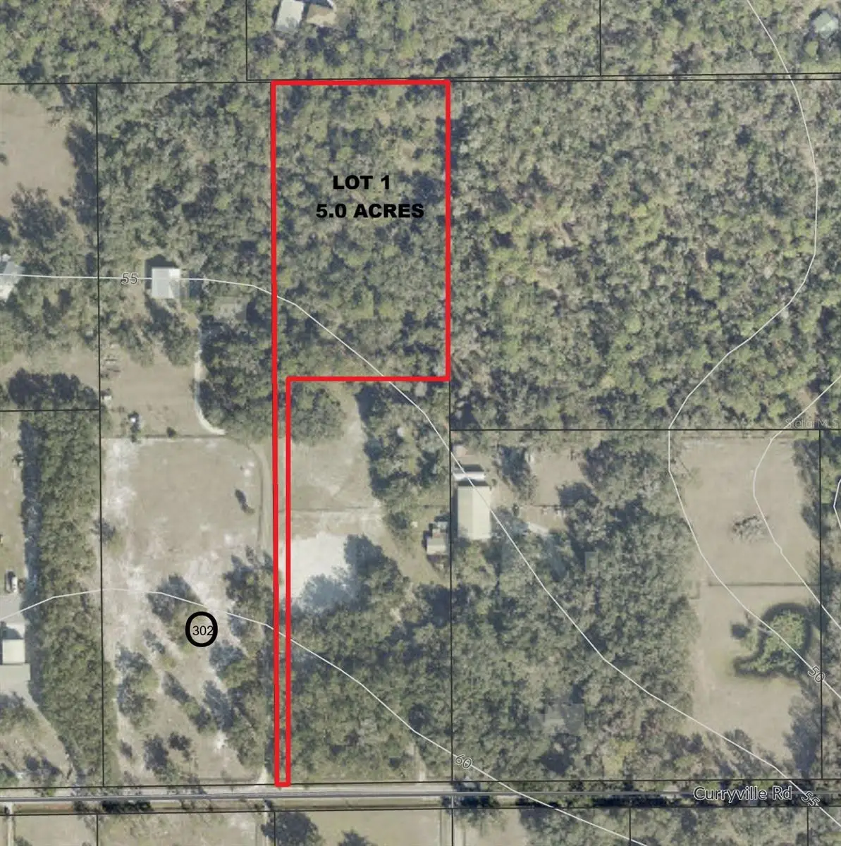 PARCEL 1 - 2570 Curryville Road, Chuluota, FL 32766 - #1