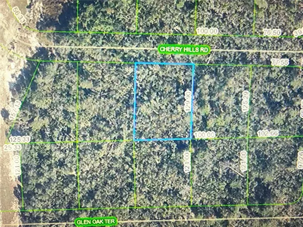 2917 Cherry Hills Road, SEBRING, FL 33875