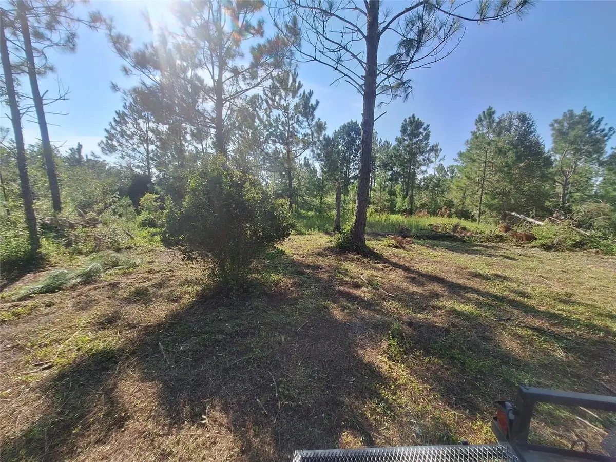 0 Unassigned Location Re, Perry, FL 32348 - #1