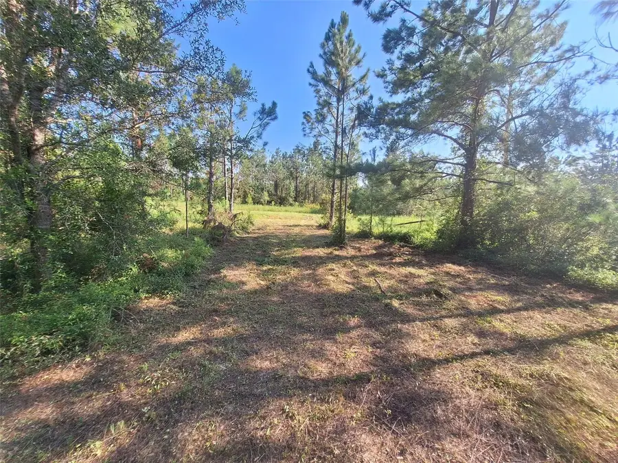 0 Unassigned Location Re, Perry, FL 32348 - #2