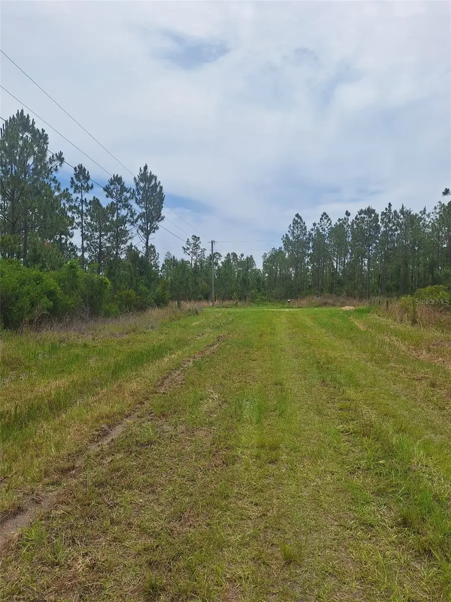 0 Unassigned Location Re, Perry, FL 32348 - #3