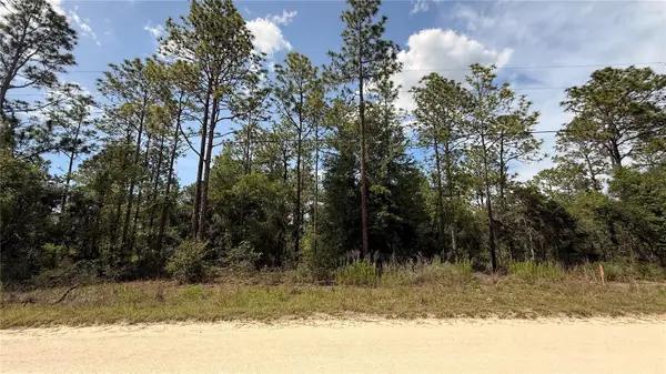 Undetermined, DUNNELLON, FL 34432