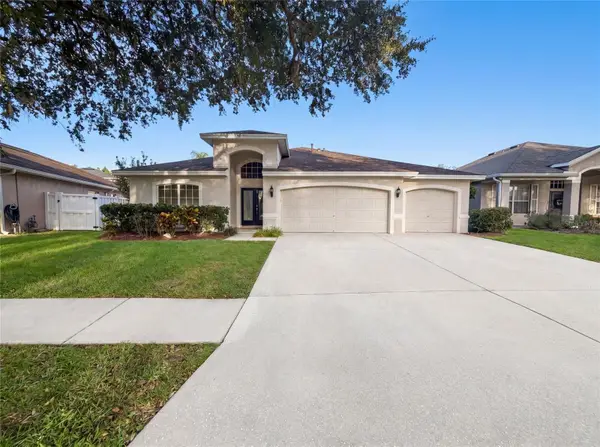 19606 Morden Blush Drive, LUTZ, FL 33558