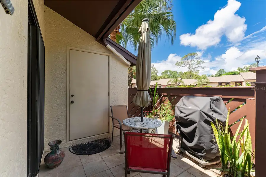 2917 Fig Court, Palm Harbor, FL 34684 - #3