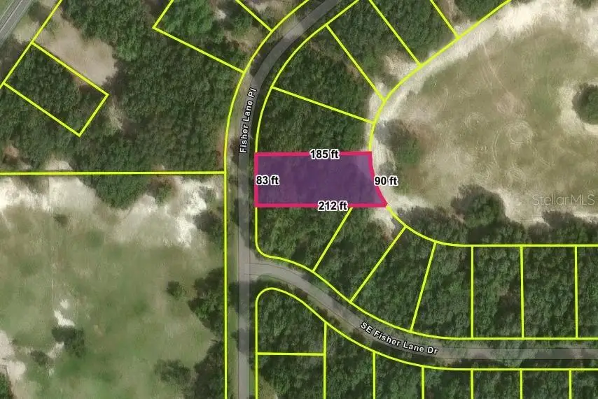 Fisher Lane Place, Ocklawaha, FL 32179 - #1
