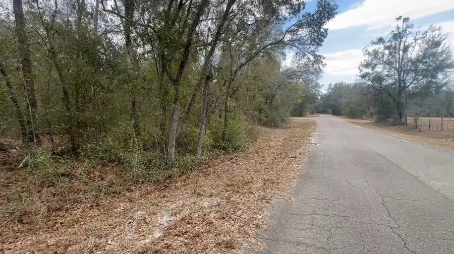 Fisher Lane Place, Ocklawaha, FL 32179 - #3