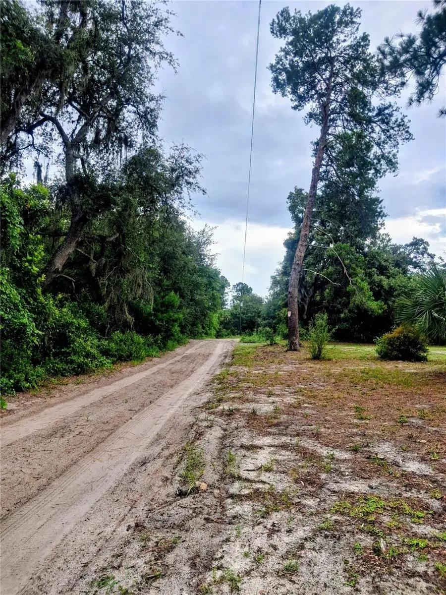 44137 Jeffrey Road, Deland, FL 32720 - #3