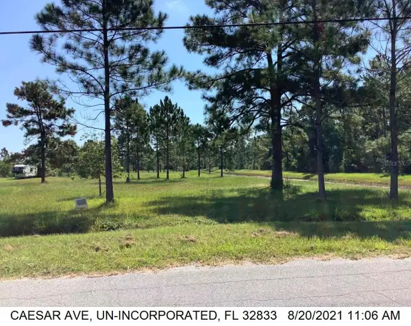 Caesar Avenue, ORLANDO, FL 32833