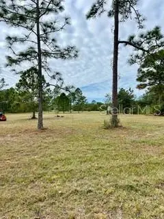Caesar Avenue, Orlando, FL 32833 - #2
