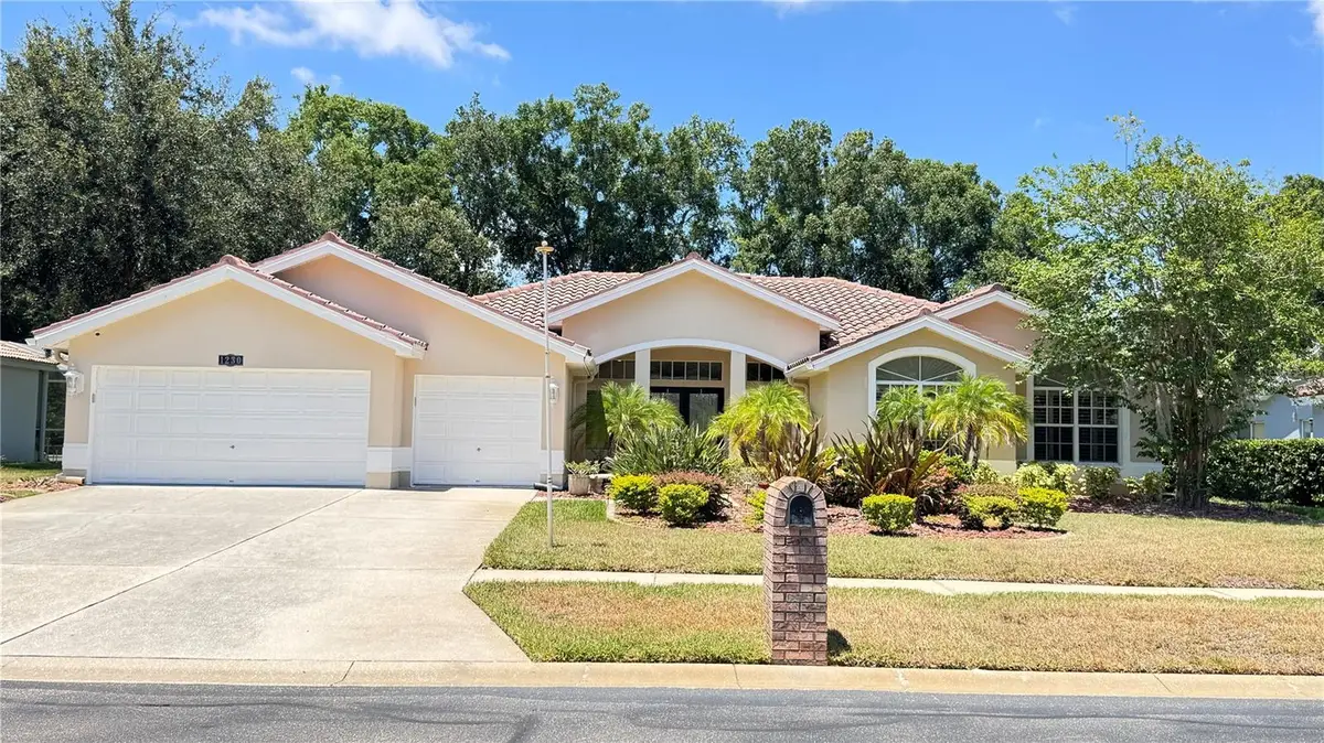 1230 Berkshire Lane, Tarpon Springs, FL 34688 - #1