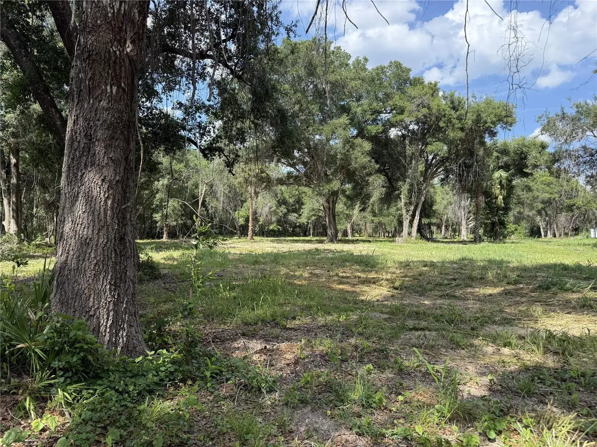 620 Cochran Road, Geneva, FL 32732 - #1