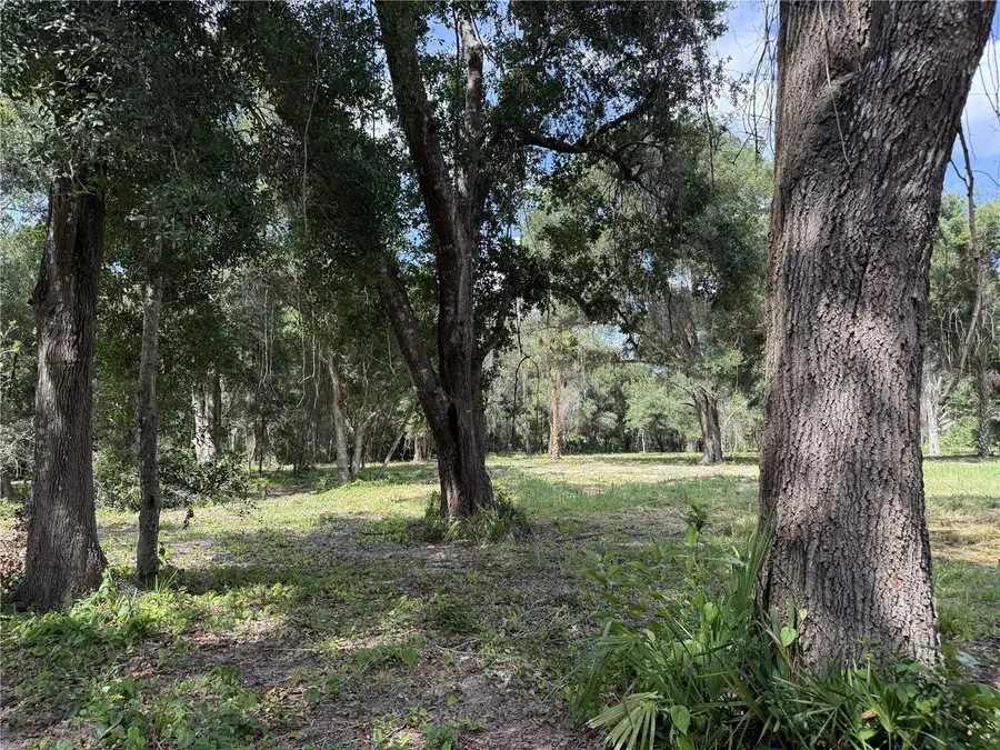 620 Cochran Road, Geneva, FL 32732 - #3