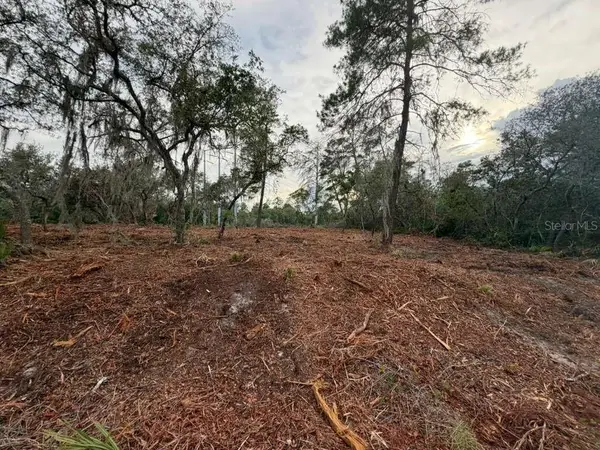 Sequoia Trail, OCKLAWAHA, FL 32179