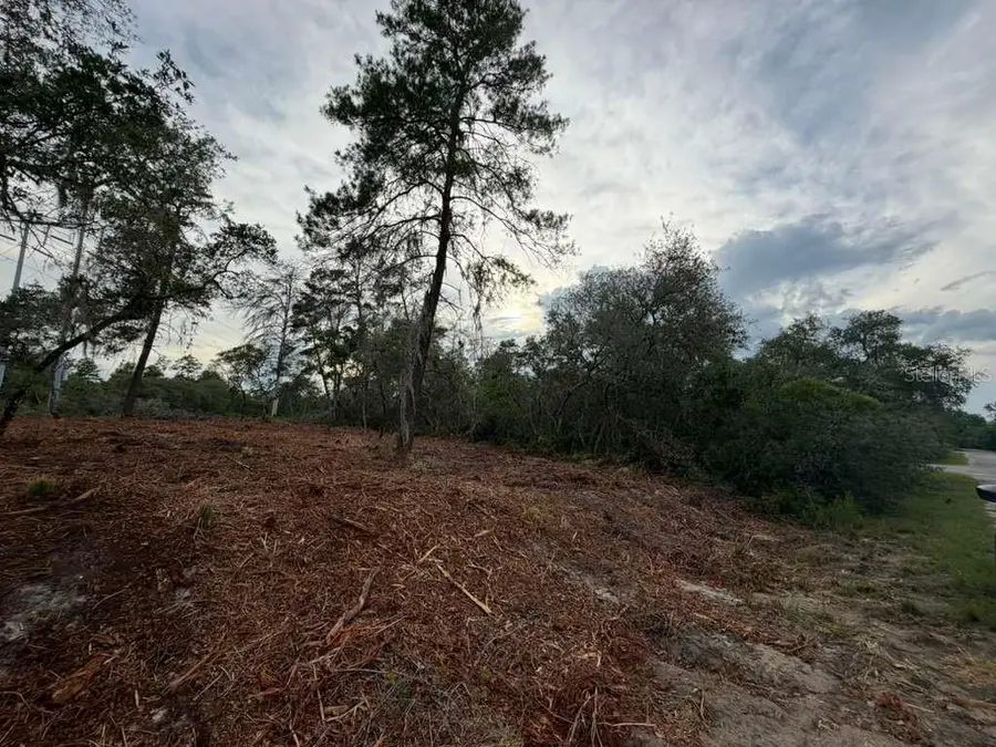 Sequoia Trail, Ocklawaha, FL 32179 - #3