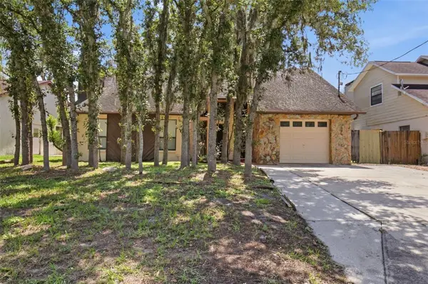 10207 N Hyaleah Road, TAMPA, FL 33617