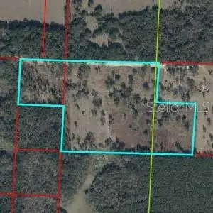 NE 172nd Court, Williston, FL 32696 - #1