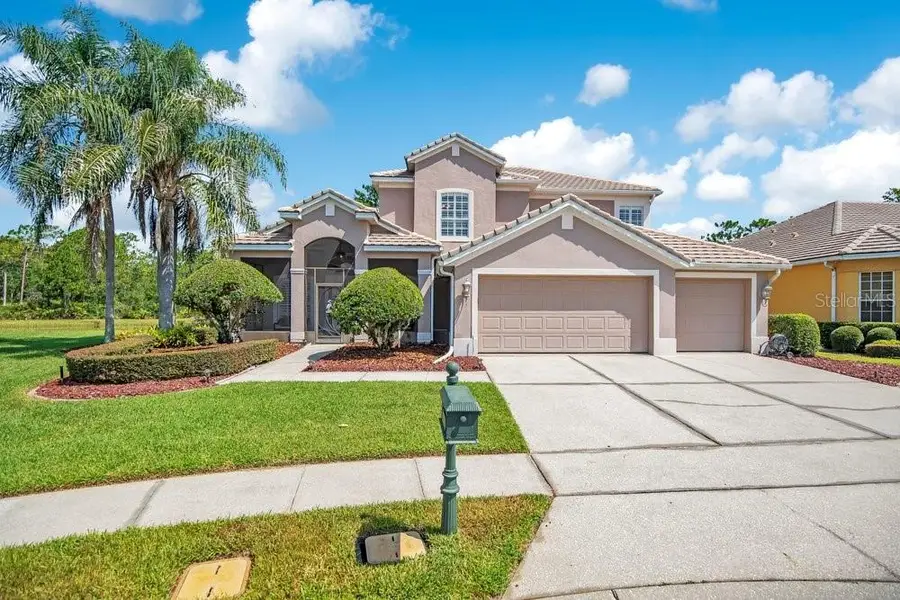 9211 Shadow Pinar Court, Orlando, FL 32825 - #3