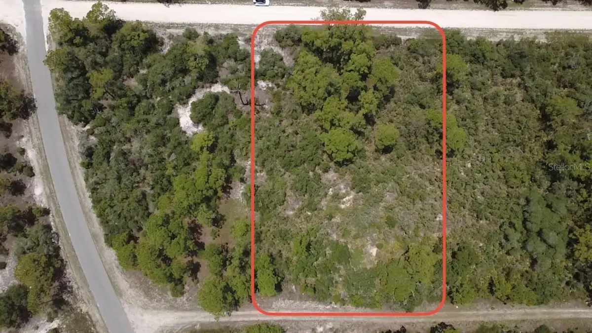 346 Blue Moon Ave, Lake Placid, FL 33852 - #1