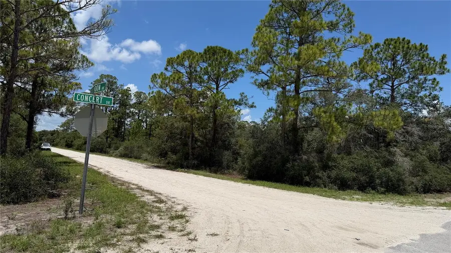 346 Blue Moon Ave, Lake Placid, FL 33852 - #2