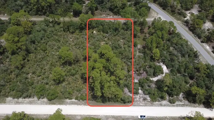 346 Blue Moon Ave, Lake Placid, FL 33852 - #3