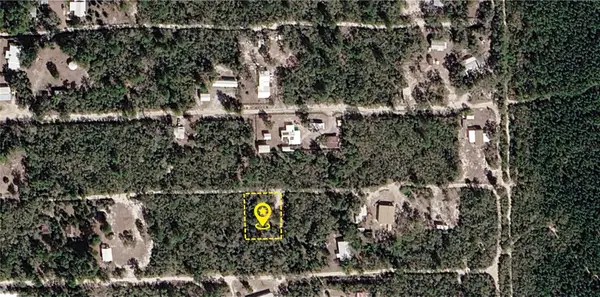 XXX NE 234th Lane, FORT MC COY, FL 32134