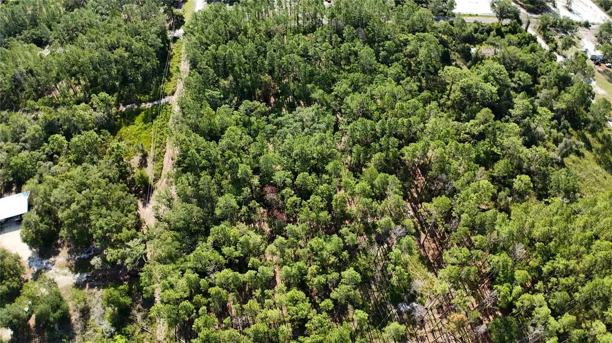 XX SW 156th Place, Dunnellon, FL 34432 - #1