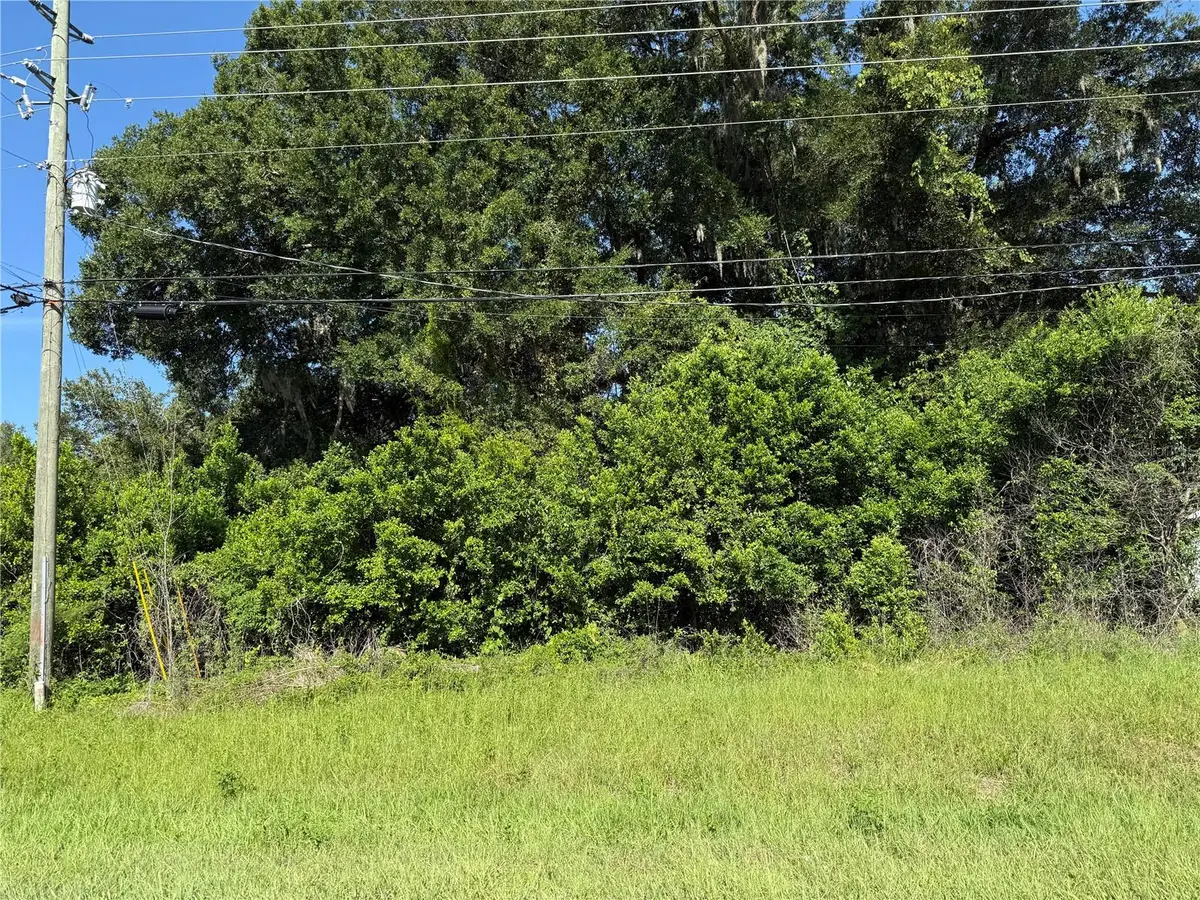 SE 35th Court, Summerfield, FL 34491 - #1