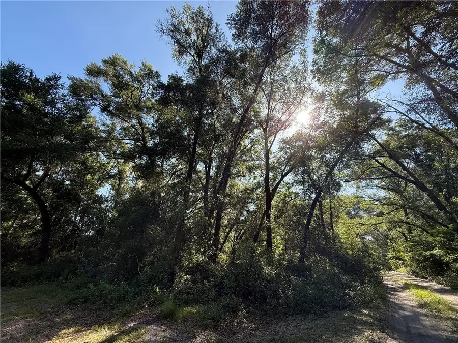 XX SE 35th Court, Summerfield, FL 34491 - #3