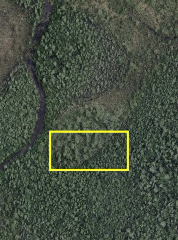 Dill Road, ORLANDO, FL 32820