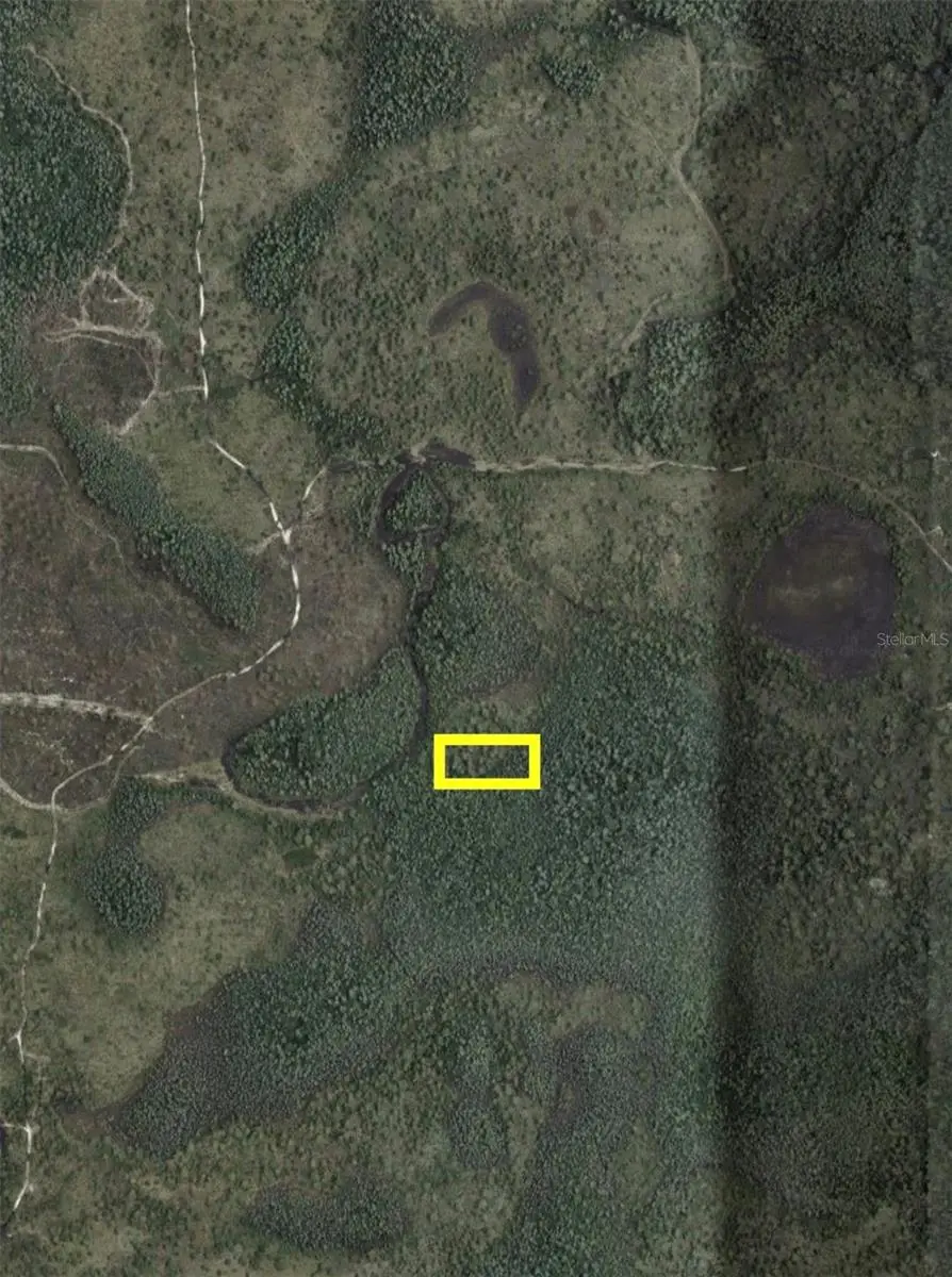 Dill Road, Orlando, FL 32820 - #2