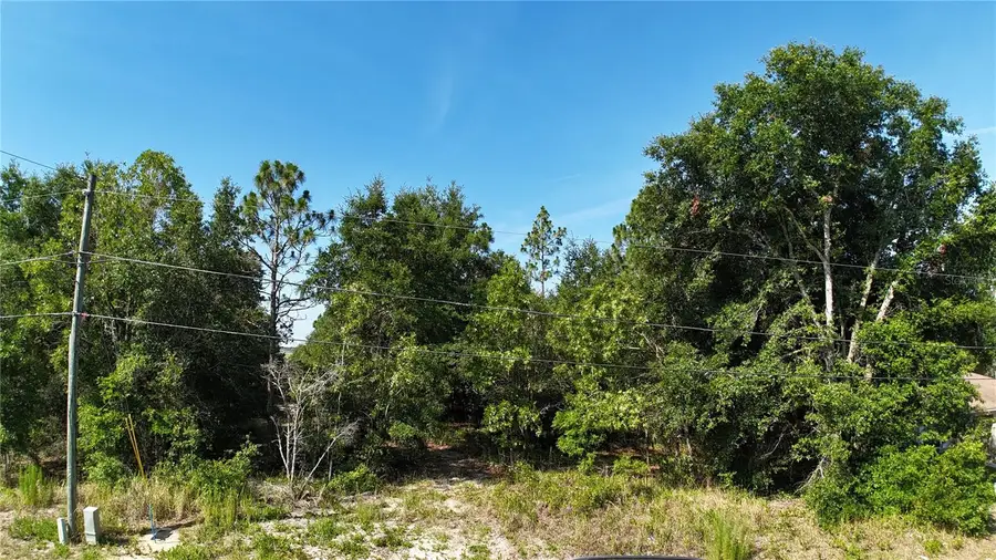 Bahia Court Track, Ocala, FL 34472 - #3