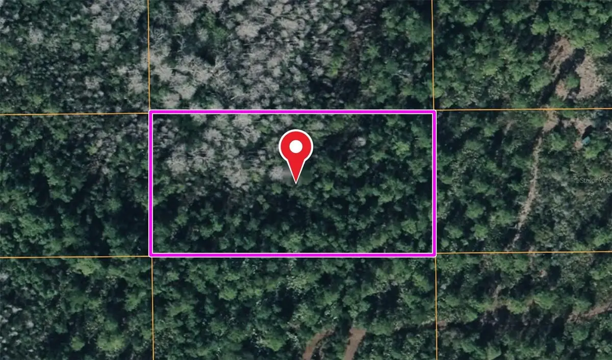 Dill Road, Orlando, FL 32820 - #1