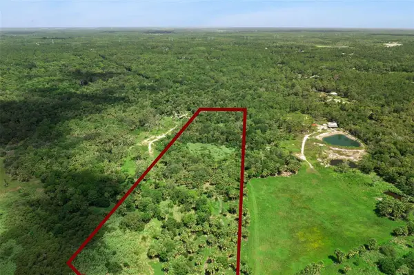 Canvasback Trail, GENEVA, FL 32732