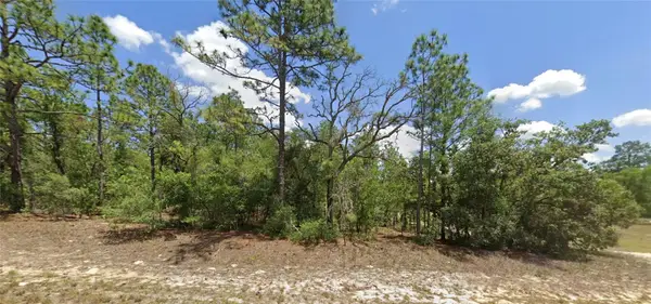9857 N Lathyrus Terrace, DUNNELLON, FL 34433