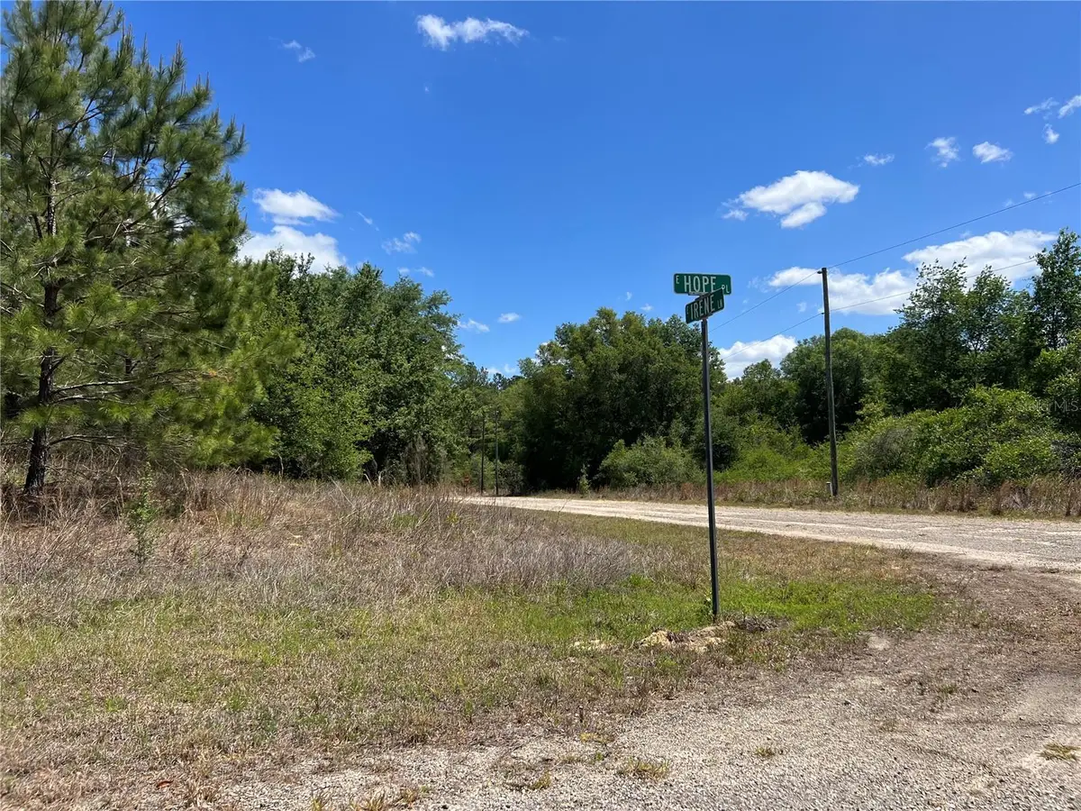 689 E Hope Place, Dunnellon, FL 34434 - #1