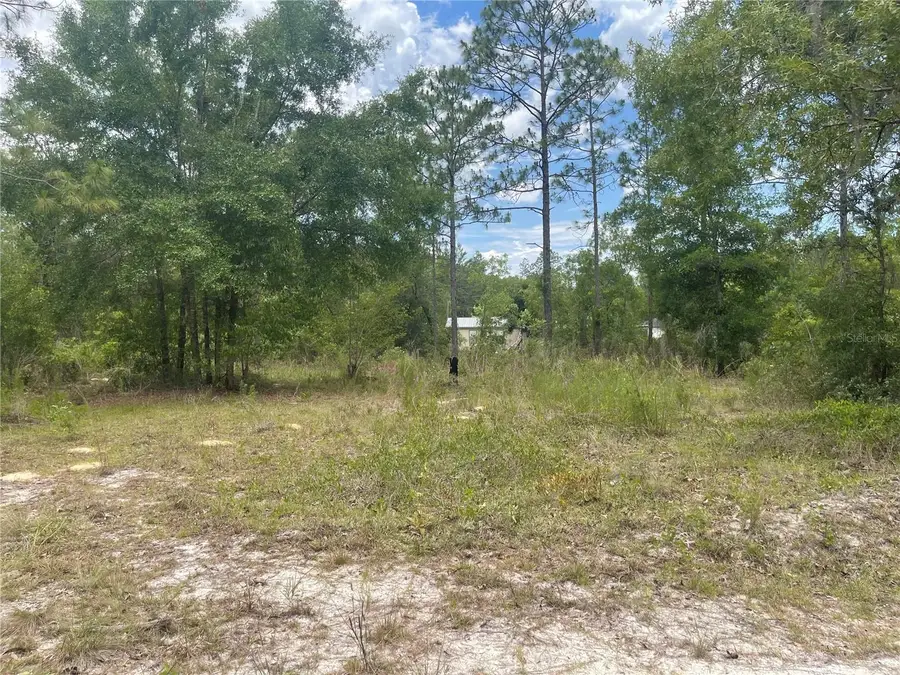 6628 NE 96 Avenue, Bronson, FL 32621 - #3