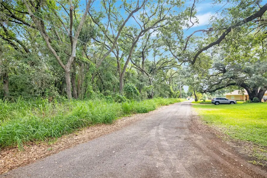 Avalon Road, Winter Garden, FL 34787 - #3