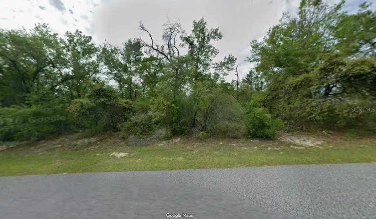 3012 W Eunice Drive, Dunnellon, FL 34433 - #1