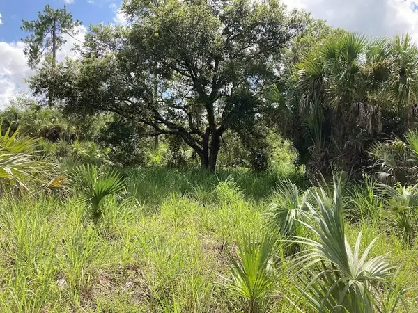 4421 24th Avenue Se, NAPLES, FL 34117