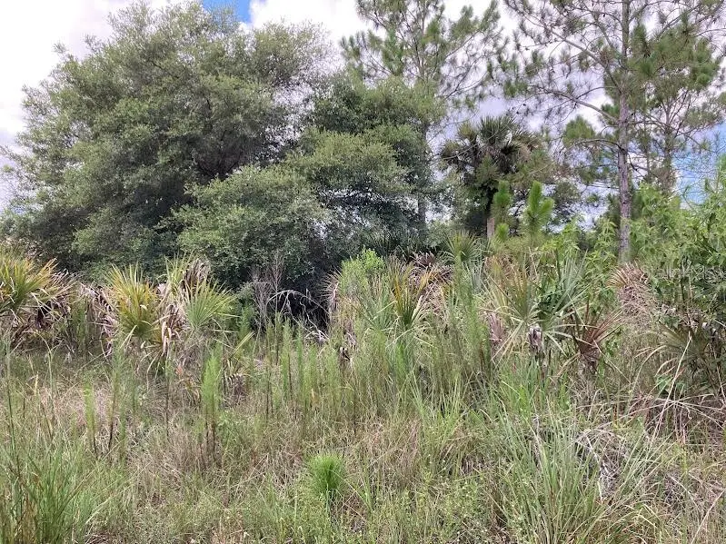 4421 24th Avenue Se, Naples, FL 34117 - #3