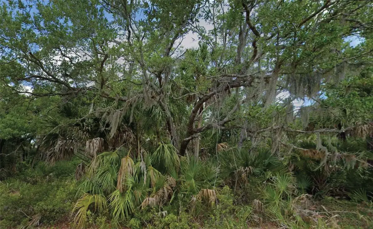 14202 Brisk Avenue, Port Charlotte, FL 33953 - #1