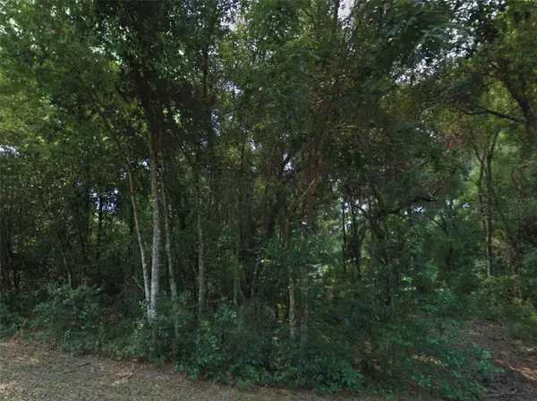 10534 E Waxwing Lane, FLORAL CITY, FL 34436