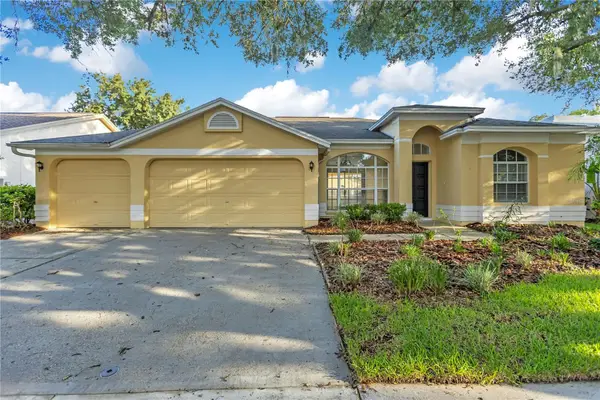 9303 Heritage Oak Court, TAMPA, FL 33647